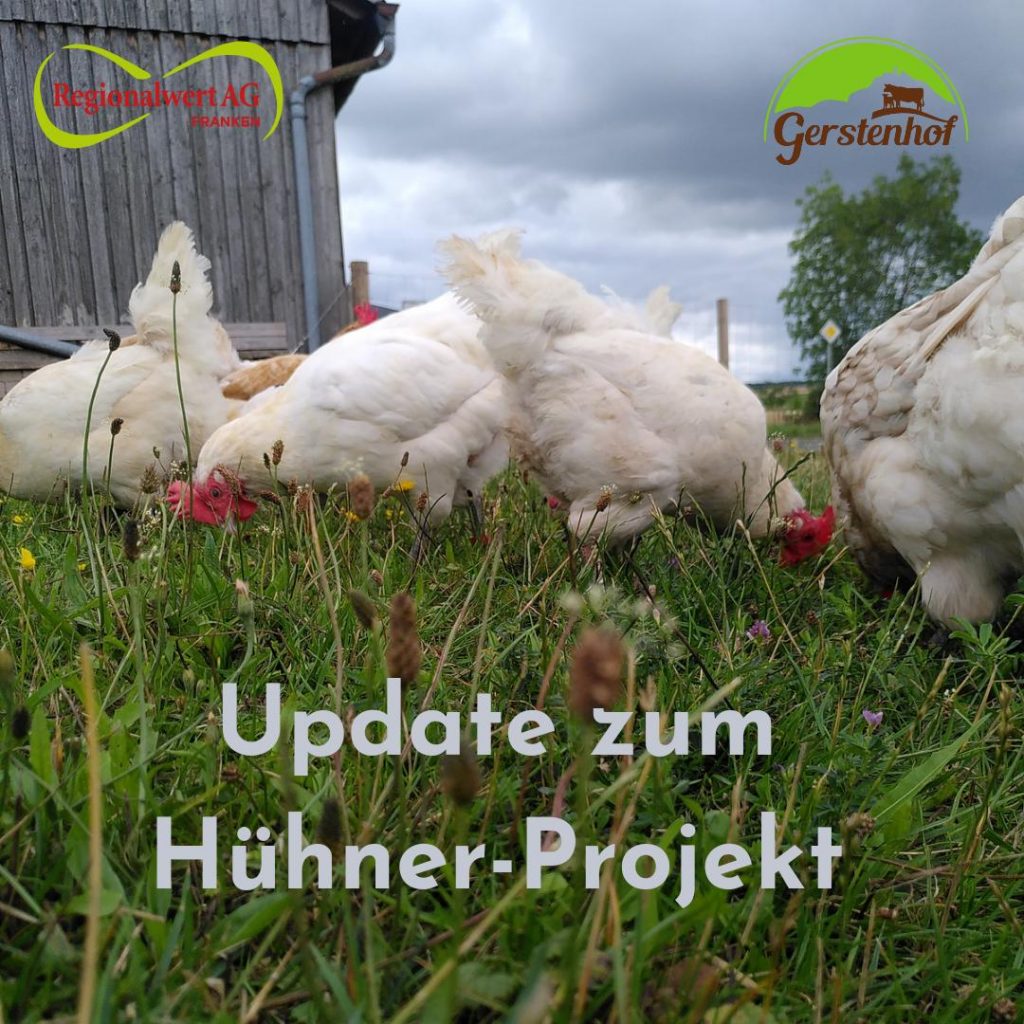 Hühnerprojekt