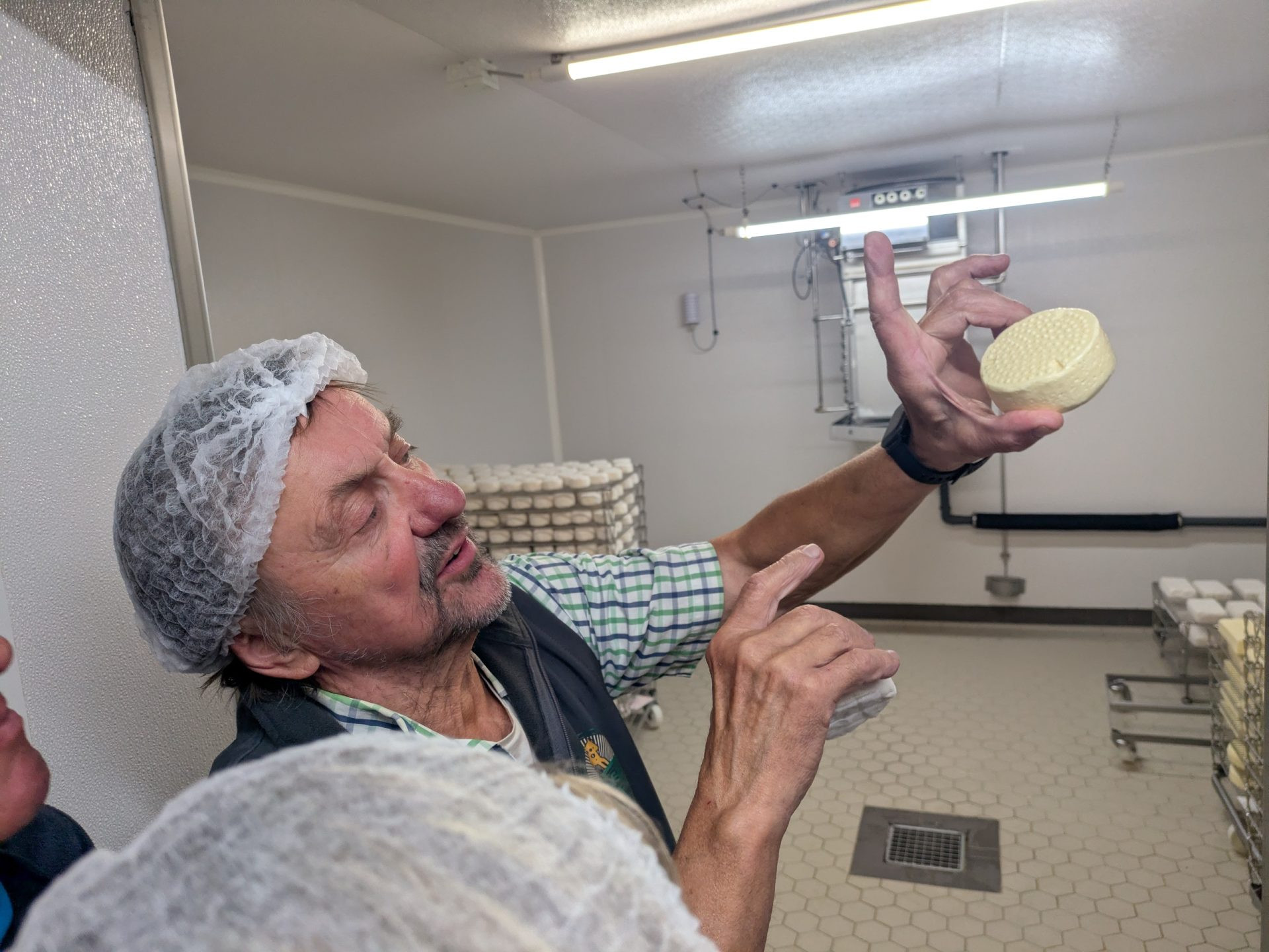 Bei der Führung in der Hofkäserei Wohlfahrt wird ein kleiner Käse gezeigt
