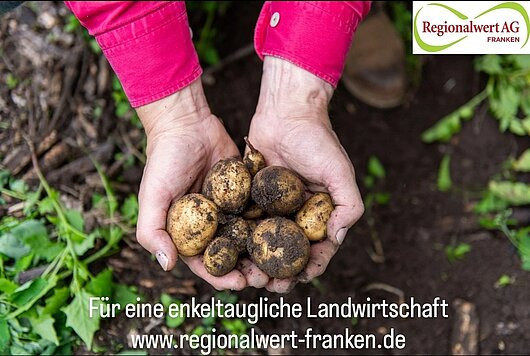 Hände halten frisch geerntete Kartoffeln. Für eine enkeltaugliche Landwirtschaft – Regionalwert AG Franken.